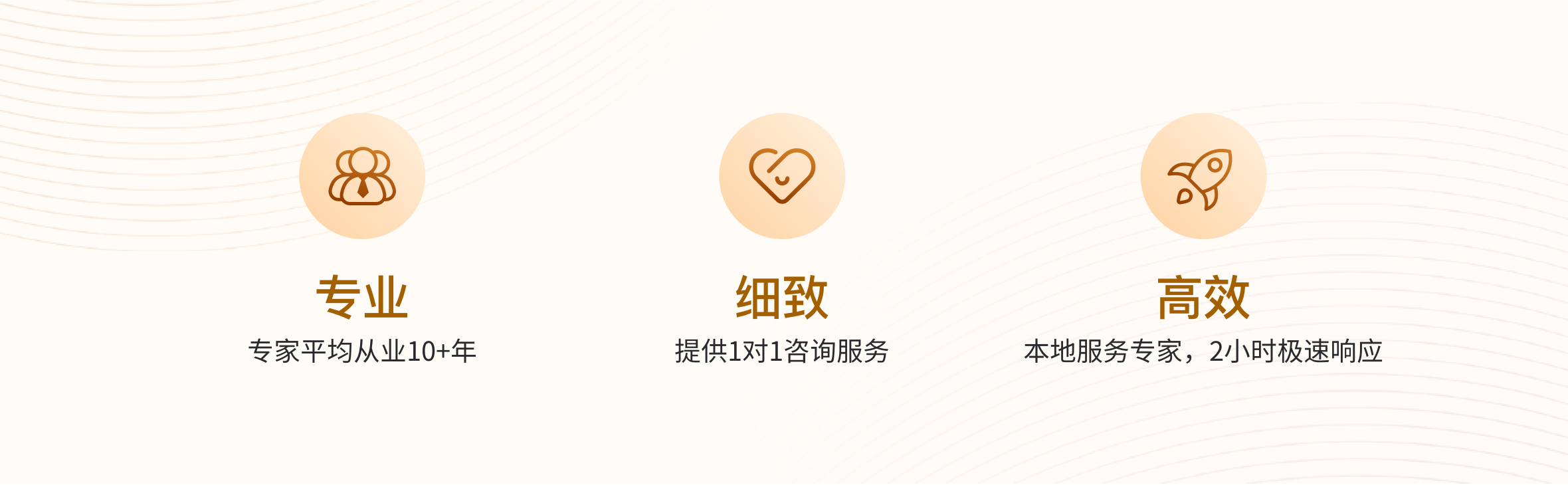 专业细致高效.png
